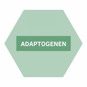 https://www.nutriphyt.be/media/cache/dakzilla_intervention/b0919f284a7e9d6162db7007ed7499a7/Adaptogenen_1.jpg