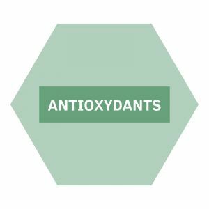 https://www.nutriphyt.be/media/cache/dakzilla_intervention/b0919f284a7e9d6162db7007ed7499a7/Antioxydants.jpg