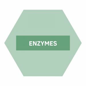https://www.nutriphyt.be/media/cache/dakzilla_intervention/b0919f284a7e9d6162db7007ed7499a7/Enzymes.jpg