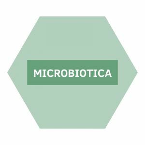 https://www.nutriphyt.be/media/cache/dakzilla_intervention/b0919f284a7e9d6162db7007ed7499a7/Microbiotica_1.jpg
