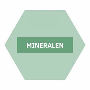 https://www.nutriphyt.be/media/cache/dakzilla_intervention/b0919f284a7e9d6162db7007ed7499a7/Mineralen.jpg