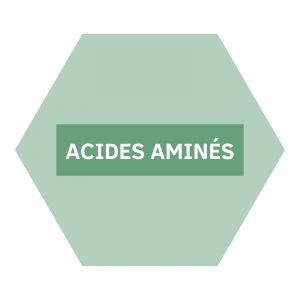 https://www.nutriphyt.be/media/cache/dakzilla_intervention/ed13834a9169072acc73ea0ff847ff35/Acides_Amines.jpg