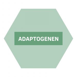 https://www.nutriphyt.be/media/cache/dakzilla_intervention/ed13834a9169072acc73ea0ff847ff35/Adaptogenen_1.jpg