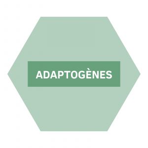 https://www.nutriphyt.be/media/cache/dakzilla_intervention/ed13834a9169072acc73ea0ff847ff35/Adaptogenes.jpg