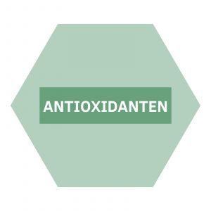 https://www.nutriphyt.be/media/cache/dakzilla_intervention/ed13834a9169072acc73ea0ff847ff35/Antioxidanten.jpg