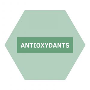 https://www.nutriphyt.be/media/cache/dakzilla_intervention/ed13834a9169072acc73ea0ff847ff35/Antioxydants.jpg
