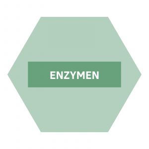 https://www.nutriphyt.be/media/cache/dakzilla_intervention/ed13834a9169072acc73ea0ff847ff35/Enzymen.jpg