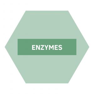 https://www.nutriphyt.be/media/cache/dakzilla_intervention/ed13834a9169072acc73ea0ff847ff35/Enzymes.jpg