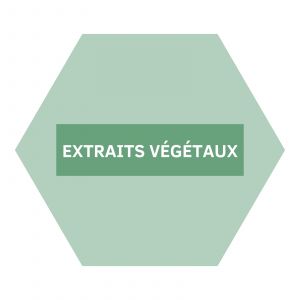 https://www.nutriphyt.be/media/cache/dakzilla_intervention/ed13834a9169072acc73ea0ff847ff35/Extraits_vegetaux.jpg