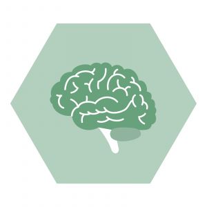 https://www.nutriphyt.be/media/cache/dakzilla_intervention/ed13834a9169072acc73ea0ff847ff35/Geheugen.jpg