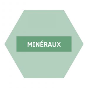 https://www.nutriphyt.be/media/cache/dakzilla_intervention/ed13834a9169072acc73ea0ff847ff35/Mineraux.jpg