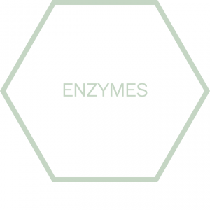 https://www.nutriphyt.be/media/cache/dakzilla_intervention/ed13834a9169072acc73ea0ff847ff35/Pict_Enzymes_1.png
