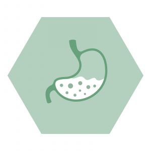 https://www.nutriphyt.be/media/cache/dakzilla_intervention/ed13834a9169072acc73ea0ff847ff35/Spijsvertering.jpg